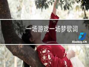 一场游戏一场梦歌词