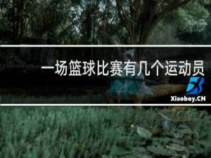 一场篮球比赛有几个运动员