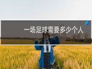 一场足球需要多少个人