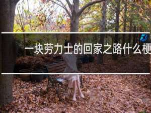 一块劳力士的回家之路什么梗