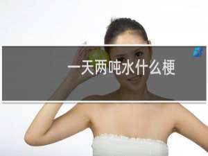 一天两吨水什么梗