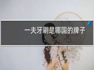 一夫牙刷是哪国的牌子