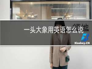 一头大象用英语怎么说