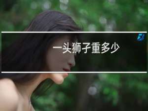 一头狮孑重多少