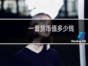 一套货币值多少钱