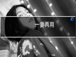 一妻两用  独宠枕边妻