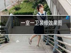 一室一卫装修效果图