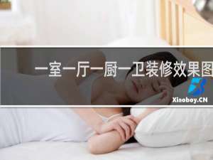 一室一厅一厨一卫装修效果图