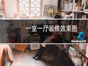 一室一厅装修效果图