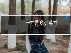 一寸是多少英寸