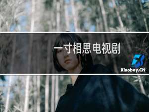 一寸相思电视剧