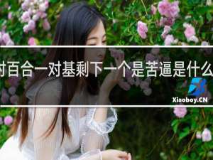 一对百合一对基剩下一个是苦逼是什么梗什么梗