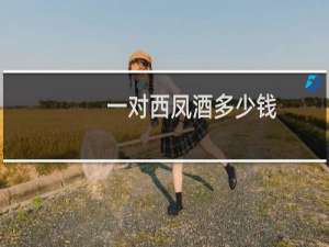 一对西凤酒多少钱