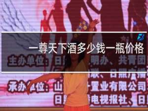 一尊天下酒多少钱一瓶价格