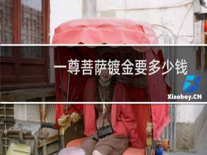 一尊菩萨镀金要多少钱