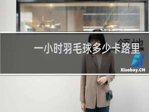一小时羽毛球多少卡路里