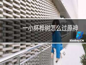 一小杯桦树怎么过原神