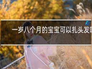 一岁八个月的宝宝可以扎头发吗