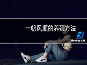 一帆风顺的养殖方法