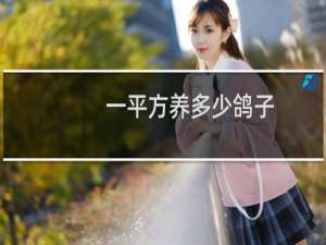 一平方养多少鸽子