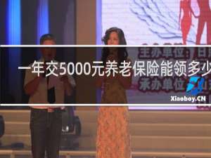 一年交5000元养老保险能领多少钱