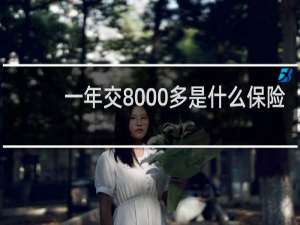 一年交8000多是什么保险