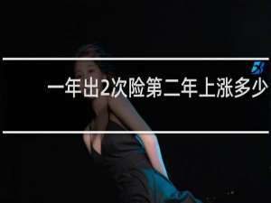 一年出2次险第二年上涨多少