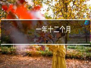 一年十二个月（每个月代表的花）