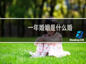 一年婚姻是什么婚