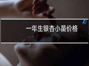 一年生银杏小苗价格
