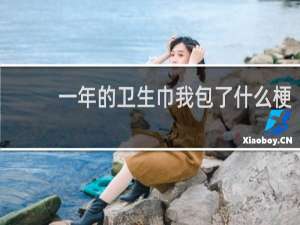 一年的卫生巾我包了什么梗