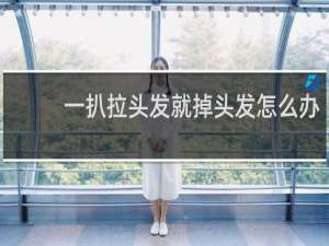 一扒拉头发就掉头发怎么办
