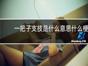 一把子支技是什么意思什么梗