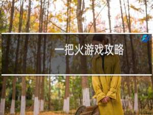 一把火游戏攻略