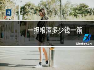 一担粮酒多少钱一箱