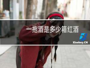 一拖酒是多少箱红酒