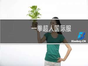 一拳超人国际服