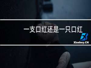 一支口红还是一只口红