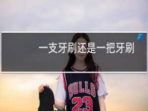 一支牙刷还是一把牙刷