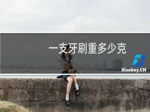 一支牙刷重多少克