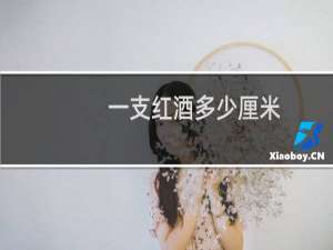 一支红酒多少厘米