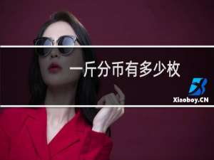 一斤分币有多少枚