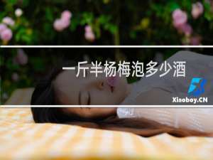 一斤半杨梅泡多少酒