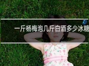 一斤杨梅泡几斤白酒多少冰糖