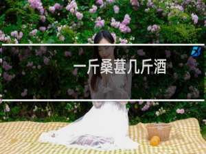 一斤桑葚几斤酒