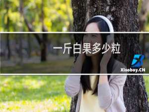 一斤白果多少粒