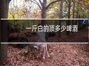 一斤白的顶多少啤酒