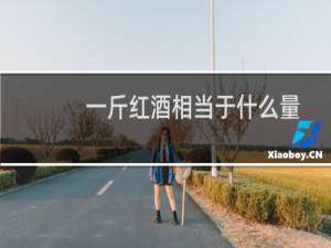 一斤红酒相当于什么量