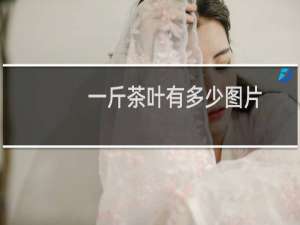 一斤茶叶有多少图片
