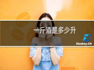 一斤酒是多少升